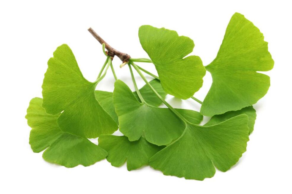 Ginkgo leaf capsule Glucoren